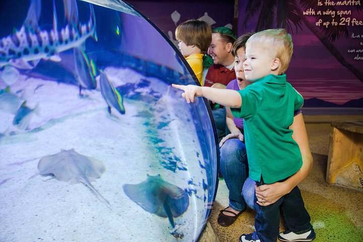 SEA LIFE Aquarium Minnesota Admission Ticket at Mall of America