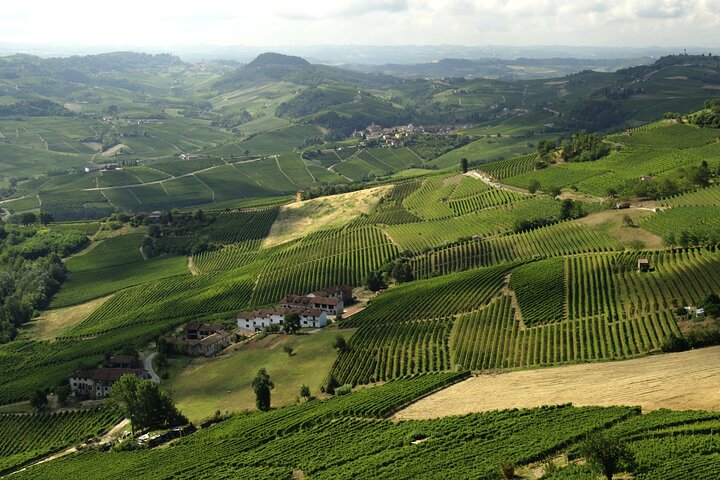 Barolo & Barbaresco Wine Tour with a Winemaker