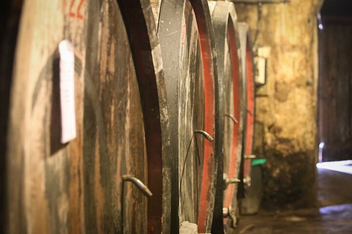Barolo & Barbaresco Wine Tour with a Winemaker