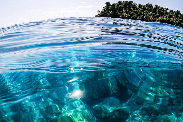 Caño Island all inclusive Snorkeling Tour in small groups