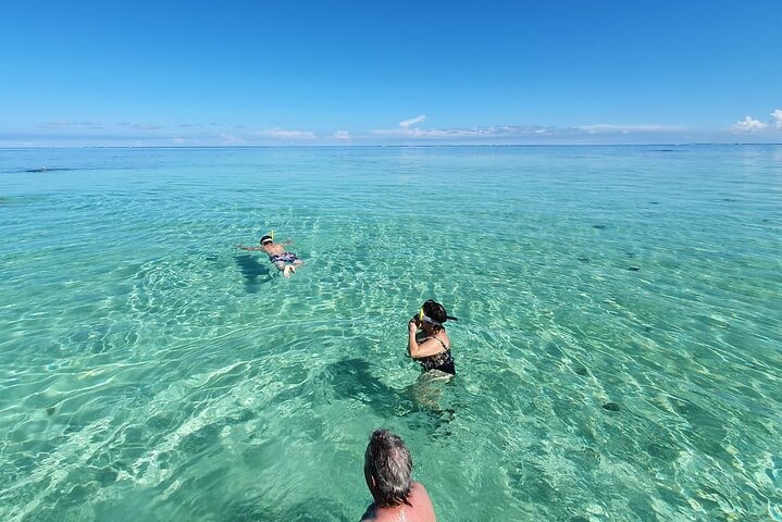 Discovery by boat of the Mangrove and its lagoon in 7 Stages including 4 Swimming