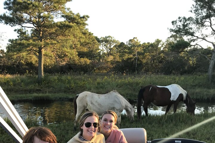 Chincoteague's Up The Bay Pony and Wildlife Tour by Boat