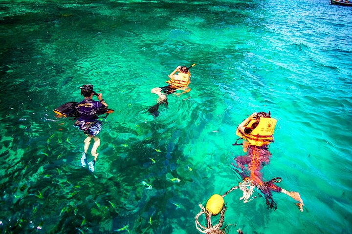 Discover Maya Bay at Dawn: Avoid the Phi Phi Crowds