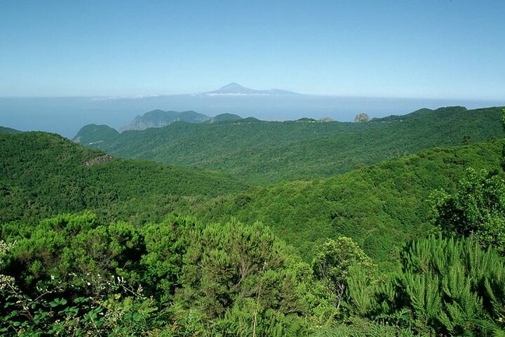 Full Day Guided Tour to La Gomera from Tenerife