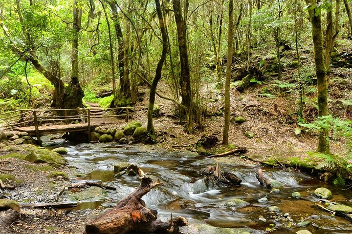 Full Day Guided Tour to La Gomera from Tenerife