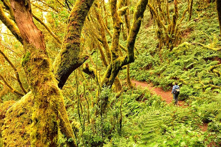 Full Day Guided Tour to La Gomera from Tenerife