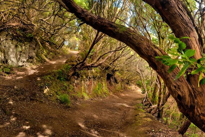 Full Day Guided Tour to La Gomera from Tenerife
