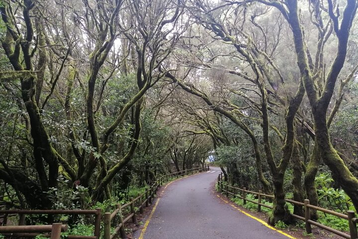 Full Day Guided Tour to La Gomera from Tenerife