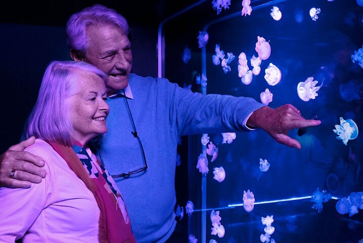 SEA LIFE Aquarium Minnesota Admission Ticket at Mall of America