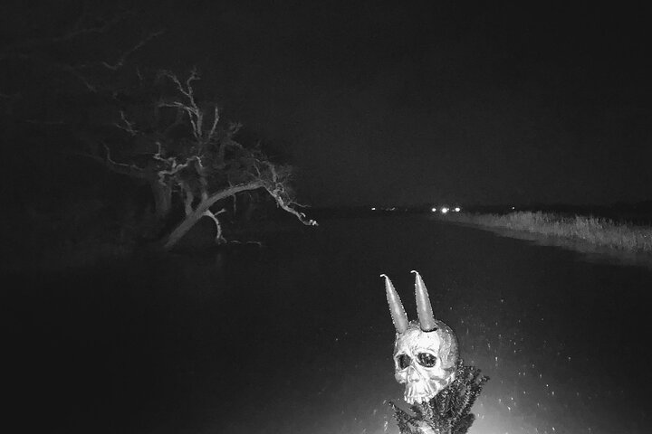 Historical Haunted Bayou Cruise