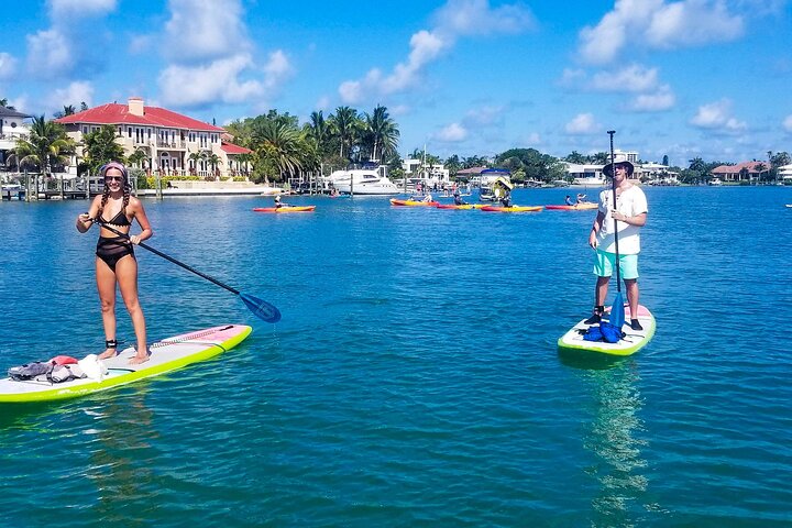 Mangrove Tunnel & Manatee Kayak Eco-Tour