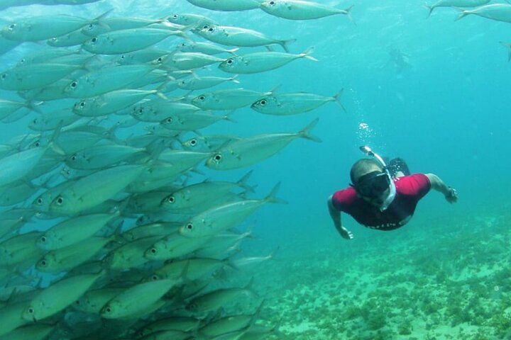 Catamaran trip with meal (Eventide VIP)