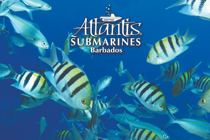 Atlantis Submarine Day Tour