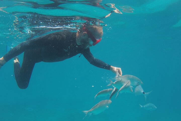 4h - Extended Private Sailing Tour around the Lobos Island