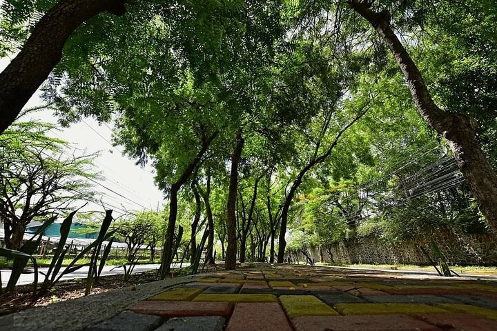 Private Sightseeing Tour in San Pedro Sula