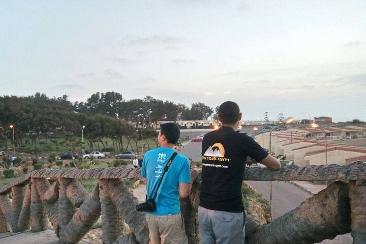 Private Alexandria Highlights Guided Day Tour