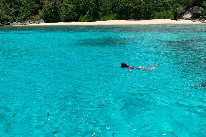 Reef Safari - Snorkeling, Fish Feeding & Lunch (Shared Day Trip)