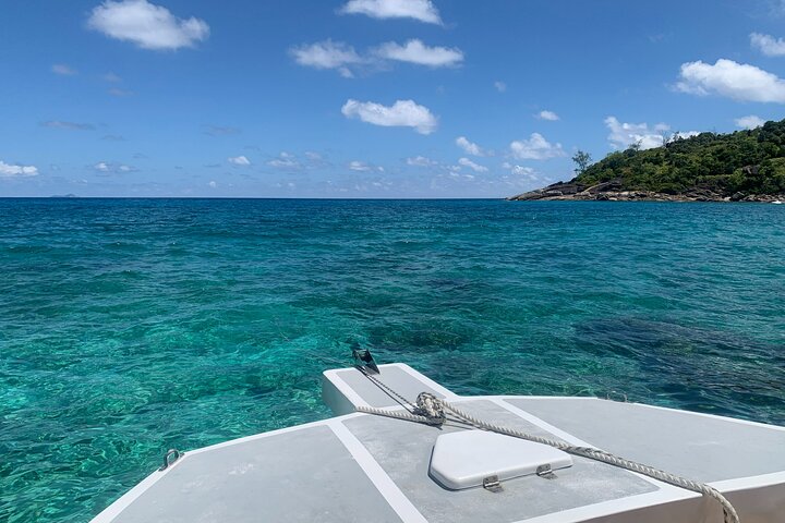 Reef Safari - Snorkeling, Fish Feeding & Lunch (Shared Day Trip)
