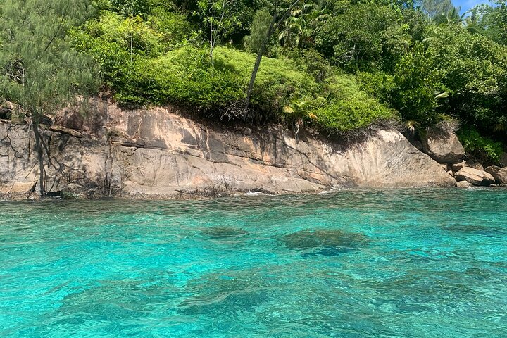 Reef Safari - Snorkeling, Fish Feeding & Lunch (Shared Day Trip)