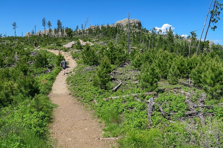 Devil's Tower & Deadwood with Spearfish Canyon Picnic