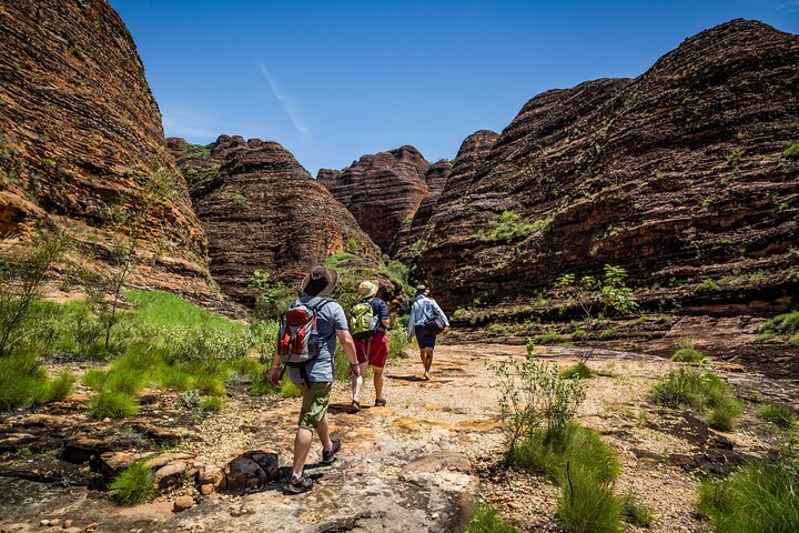 Bungle Bungle Flight & Domes To Cathedral Gorge Walking Tour