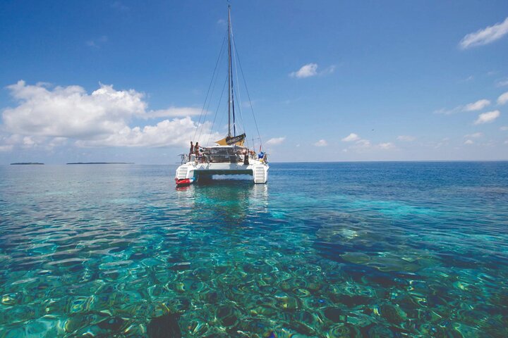 Catamaran Crystal Sea Cruise from Protaras