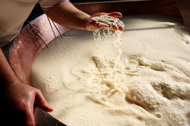 Parmigiano & Balsamic Artisans: In-Depth Private Tour and Tasting