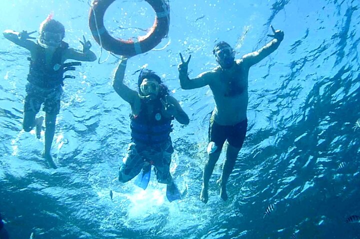 Sataya Dolphin House Snorkel Trip - Marsa Alam