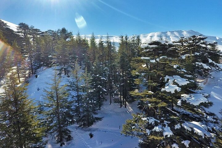 Cedars of Lebanon, Qozhaya, & Bcharreh - With Lunch