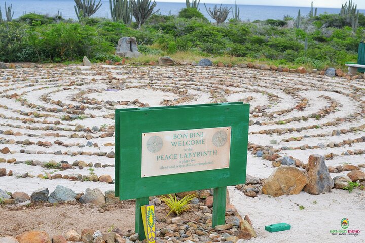 Private Guided Beach Meditation & Hike + Transfer