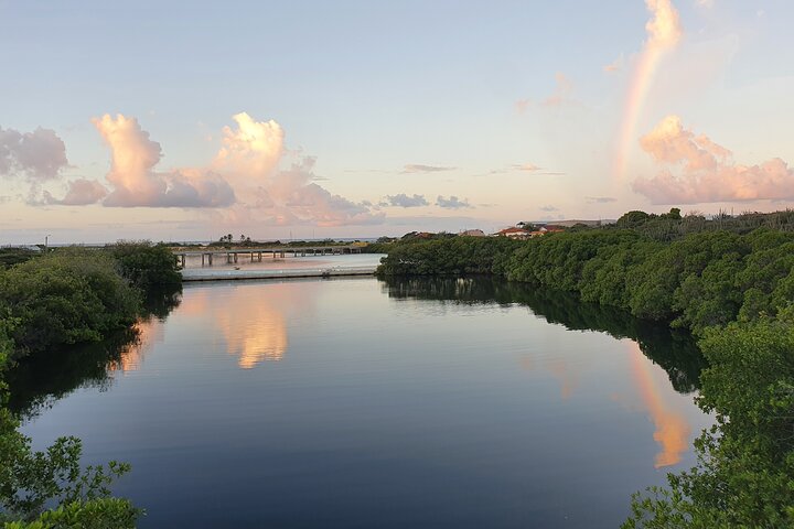 Spanish Lagoon Mangrove Trail & Bird Watching