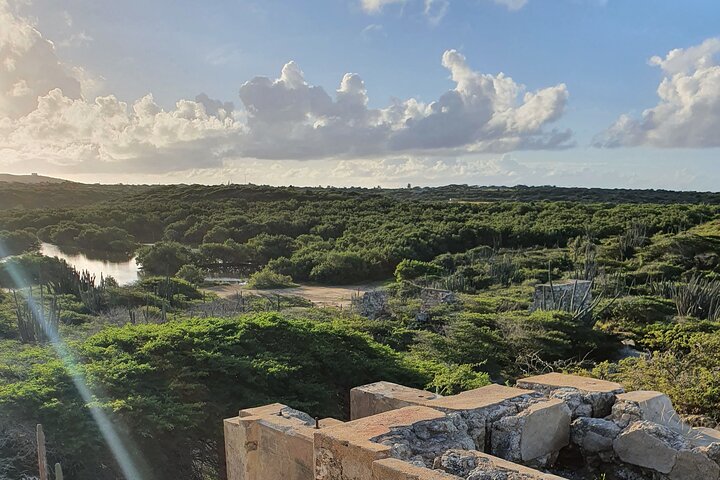 Spanish Lagoon Mangrove Trail & Bird Watching