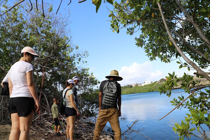 Spanish Lagoon Mangrove Trail & Bird Watching