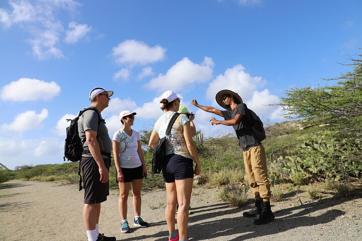 Spanish Lagoon Mangrove Trail & Bird Watching