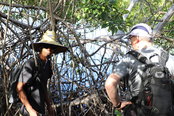 Spanish Lagoon Mangrove Trail & Bird Watching