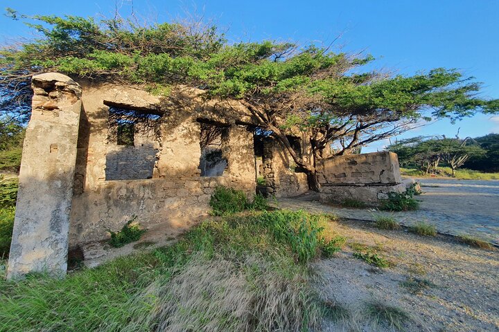 Spanish Lagoon Mangrove Trail & Bird Watching
