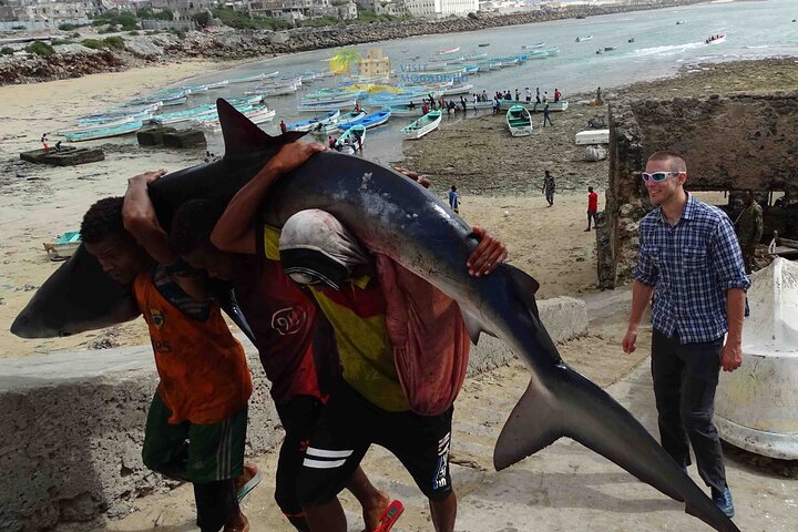 2 Days Mogadishu City Tour, The Most Memorable Travel Experiences Ever!