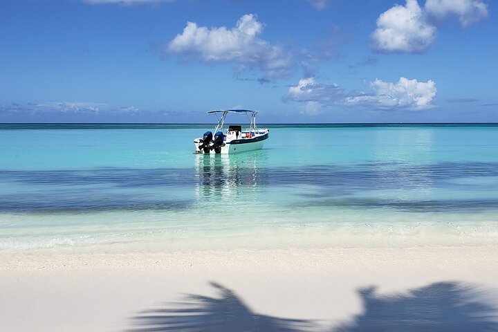 Small Group: Saona Island Full Day Tour