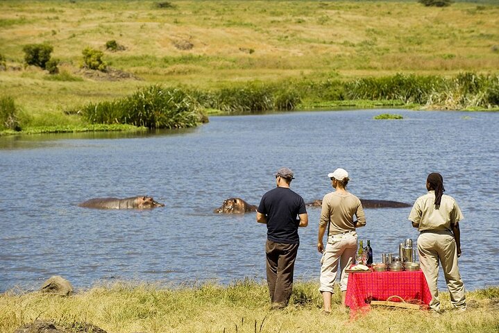 2-Day Private Luxury Safari: Tarangire & Ngorongoro Tanzania
