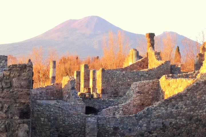 Pompeii private tour with an Official Guide