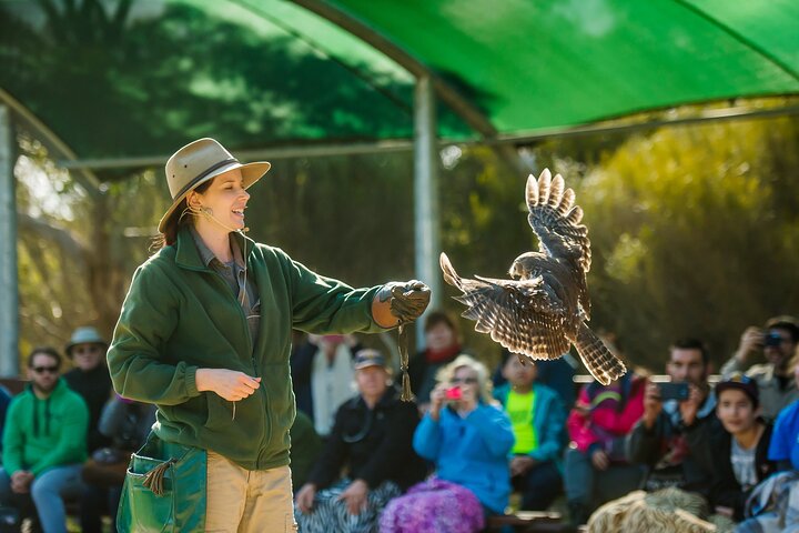 Full Day Kangaroo Island Sip and See Tour departing from Kangaroo Island