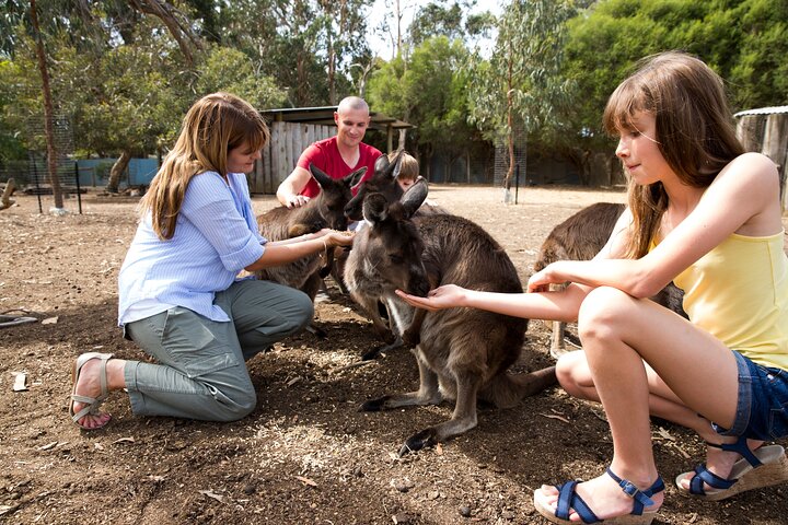 Full-Day Kangaroo Island Experience Departing from Kangaroo Island