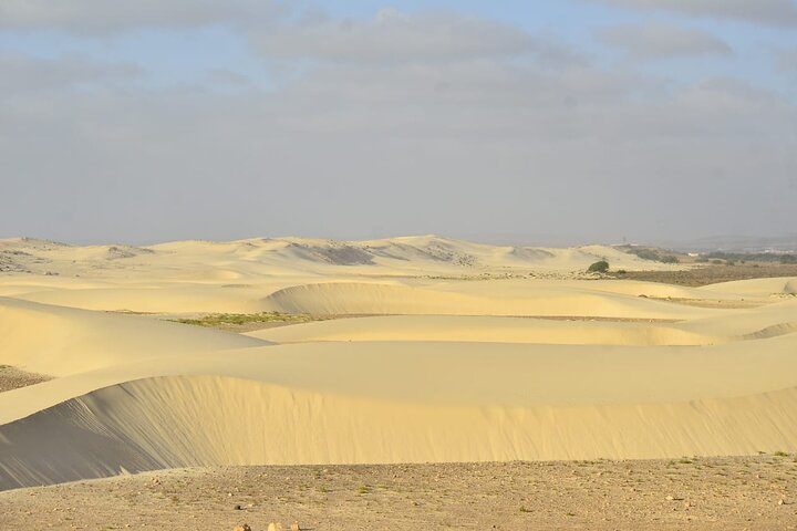 Boa Vista Tour: Santa Mónica, Desert & Shipwreck