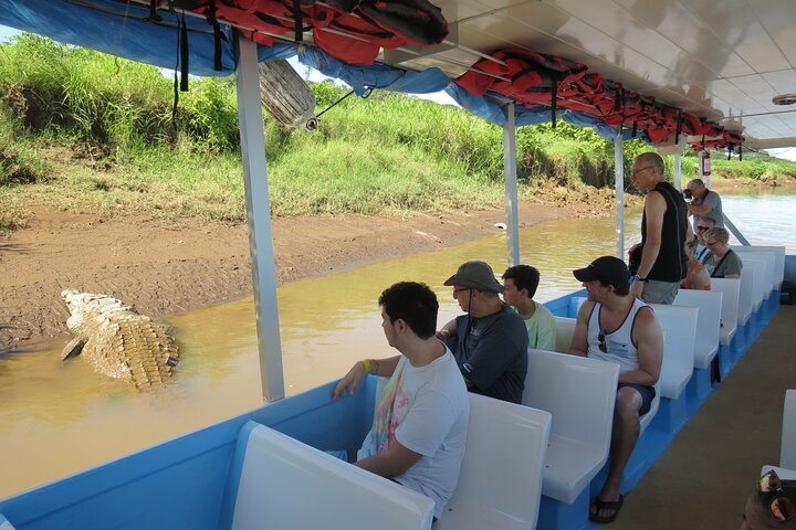 Jungle Crocodile Safari: Tarcoles River Crocodile Tour