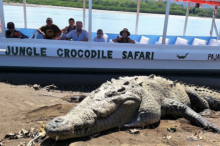 Jungle Crocodile Safari: Tarcoles River Crocodile Tour