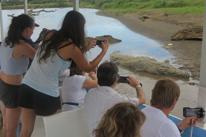 Jungle Crocodile Safari: Tarcoles River Crocodile Tour