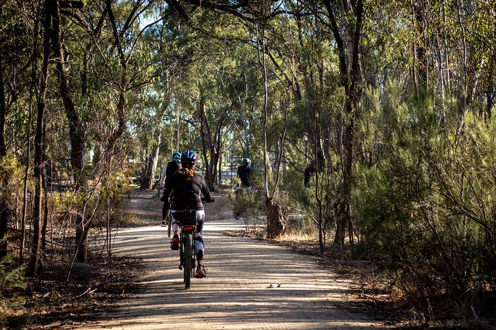 E-Bike Hire Echuca Moama - Full Day