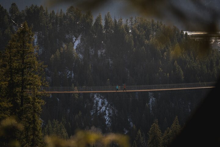 Admission Ticket to Golden Skybridge