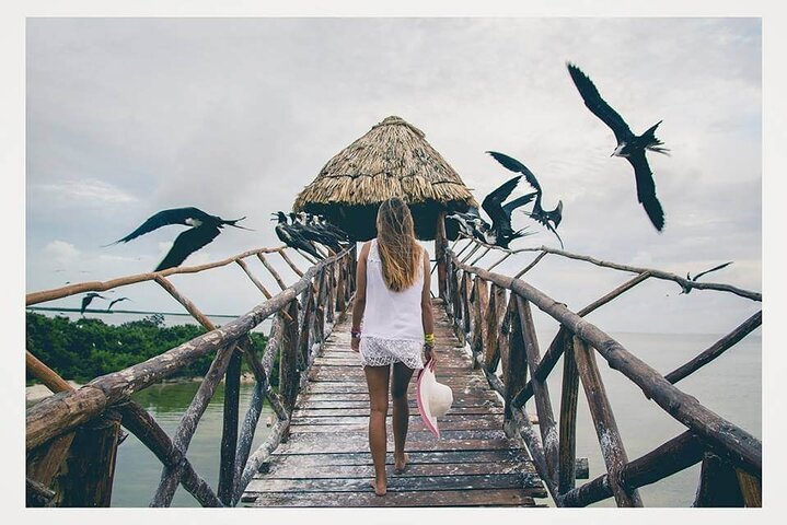 Boat Tour of Three Islands in Holbox with Transportation