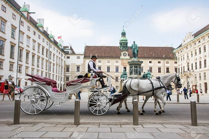 Private one way transfer from Cesky Krumlov to Vienna